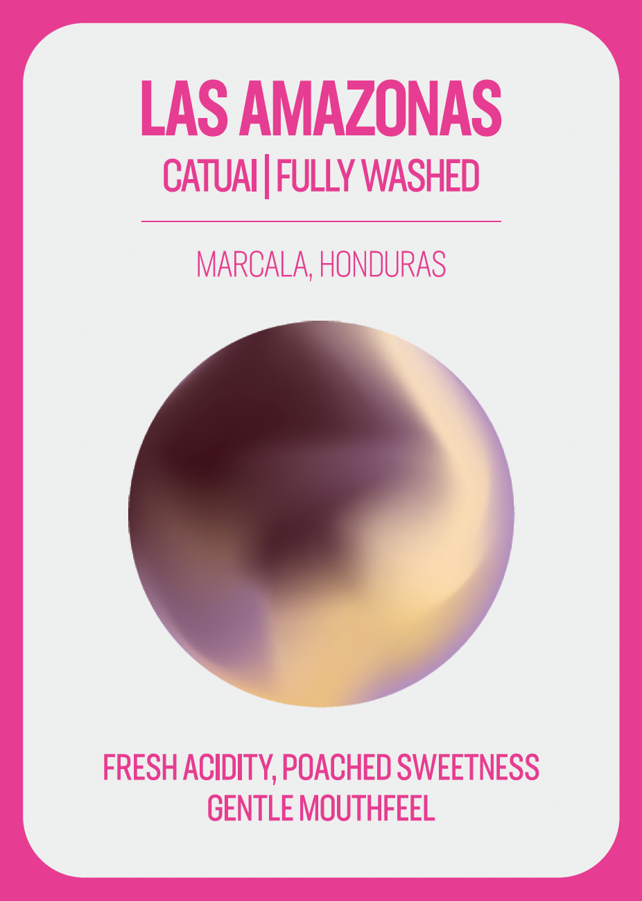 LAS AMAZONAS - HONDURAS