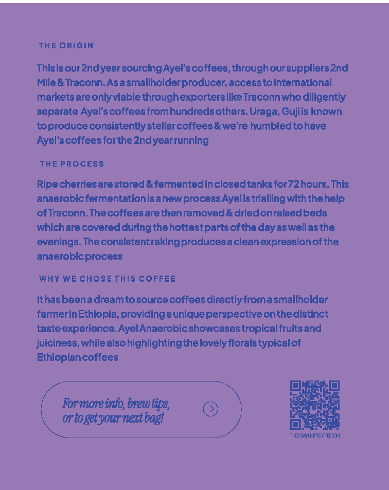 AYEL GOBENA - ETHIOPIA