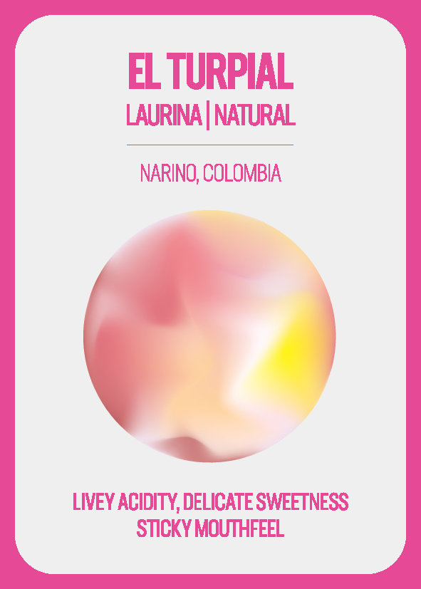 EL TURPIAL - COLOMBIA