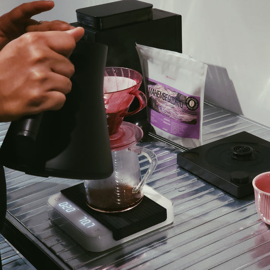 Manual Brewing - Foundation