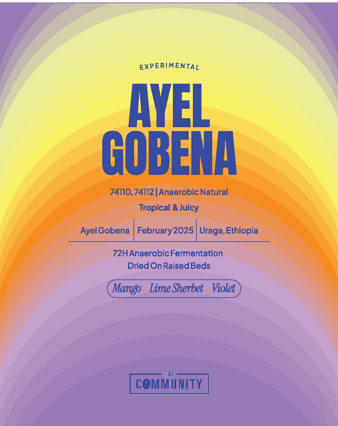 AYEL GOBENA - ETHIOPIA