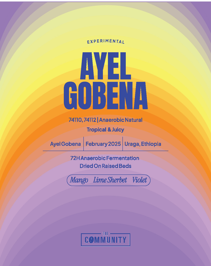 AYEL GOBENA - ETHIOPIA