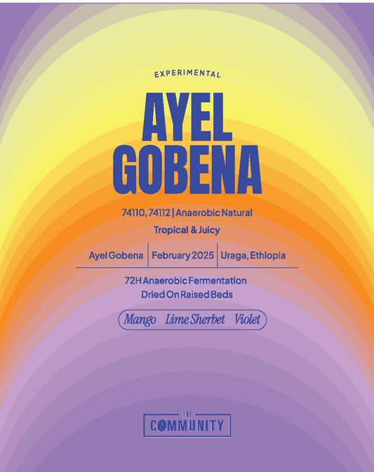 AYEL GOBENA - ETHIOPIA