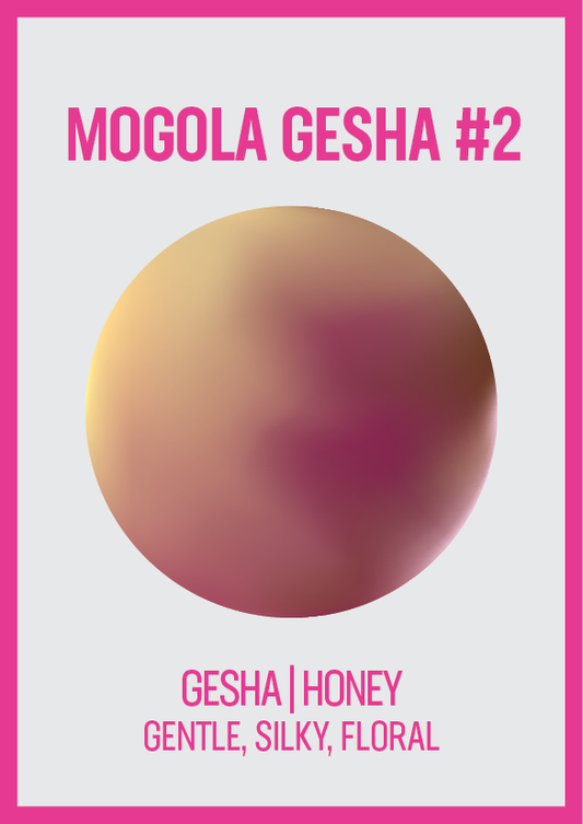 THE PINNACLE SERIES: MOGOLA GESHA
