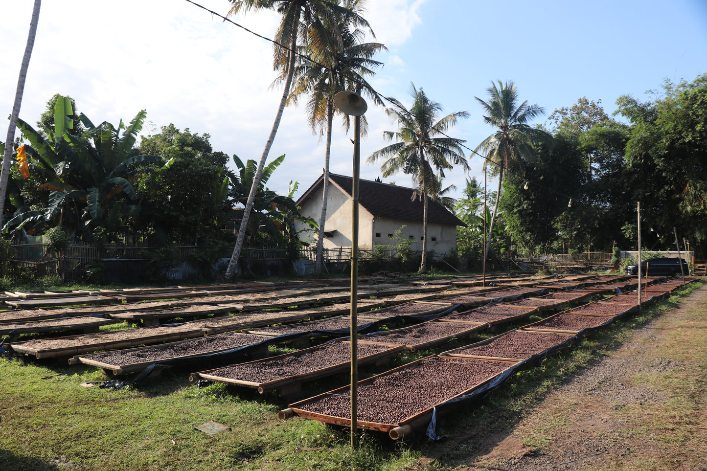 IJEN LESTARI FW - INDONESIA