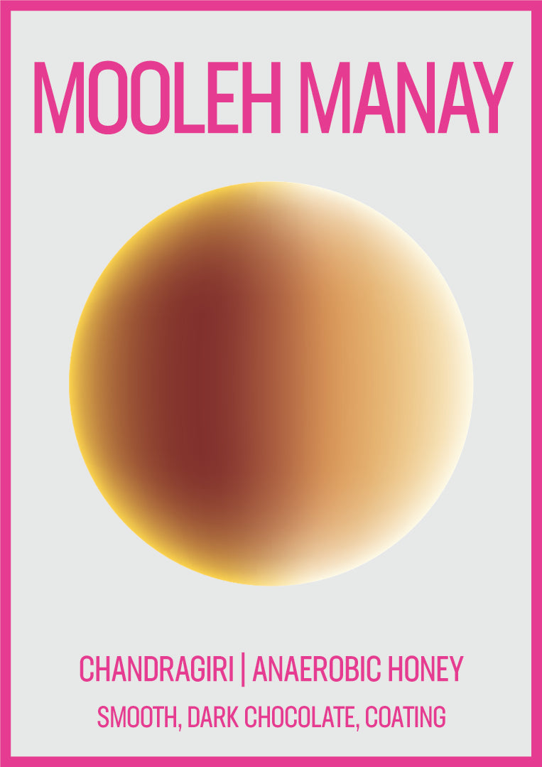 MOOLEH MANAY - INDIA