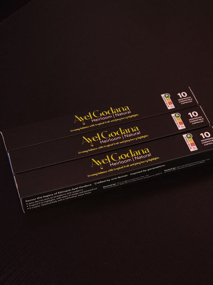NEUTRINO COFFEE CAPSULES: AYEL - ETHIOPIA